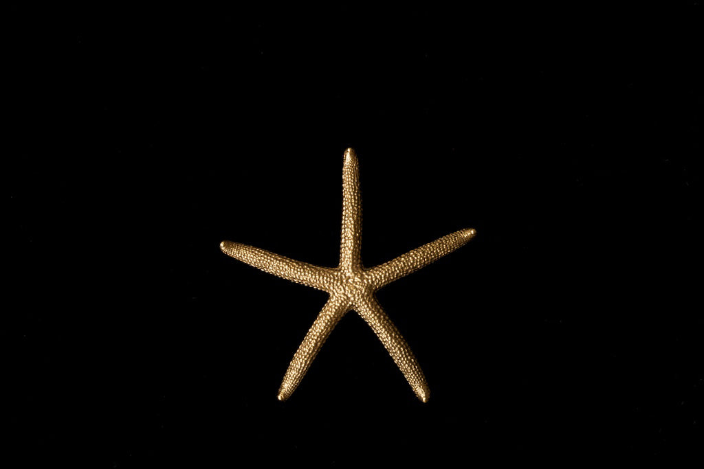 Large Starfish Pendant Necklace 18Ct Yellow Gold Vermeil